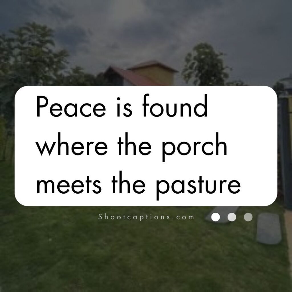 Farm House Quotes